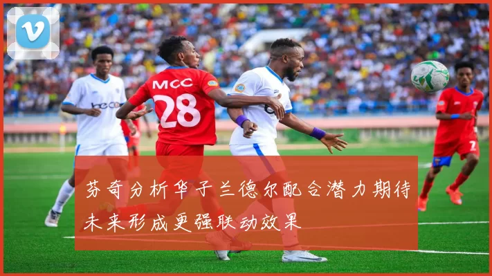 芬奇分析华子兰德尔配合潜力期待未来形成更强联动效果